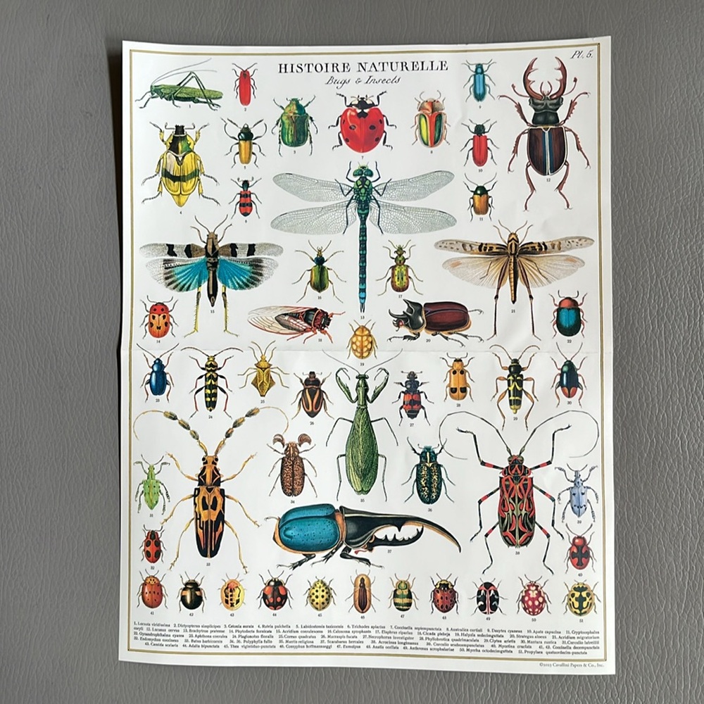 Bugs and Insects 1,000 Piece Puzzle - Picture 5 of 5